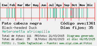 Estadisticas