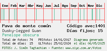 Estadisticas