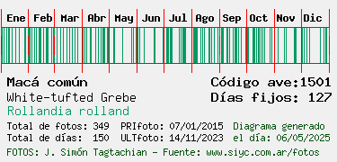 Estadisticas