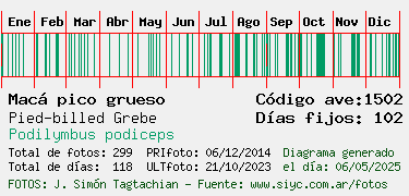Estadisticas