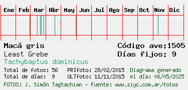 Estadisticas
