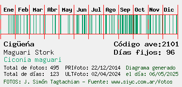 Estadisticas