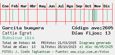 Estadisticas