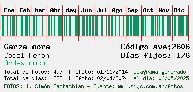 Estadisticas