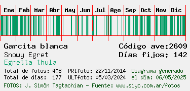 Estadisticas
