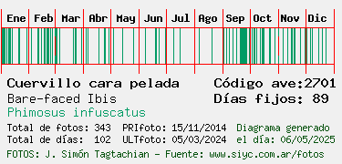 Estadisticas