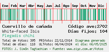 Estadisticas
