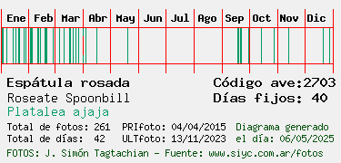 Estadisticas