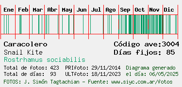 Estadisticas