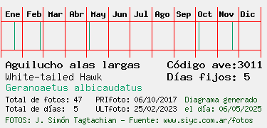 Estadisticas