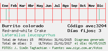 Estadisticas