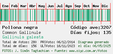 Estadisticas