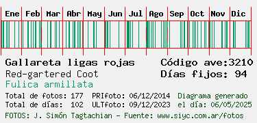 Estadisticas