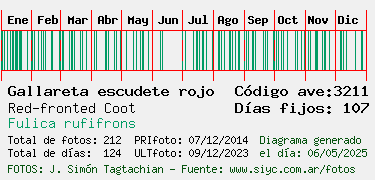 Estadisticas