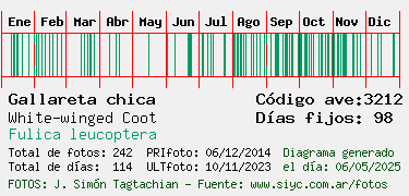 Estadisticas