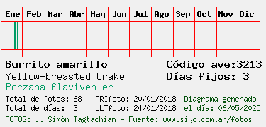 Estadisticas