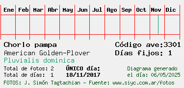 Estadisticas