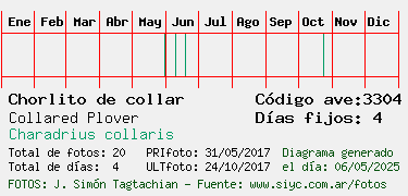 Estadisticas