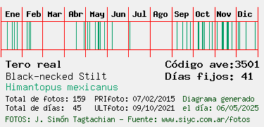 Estadisticas