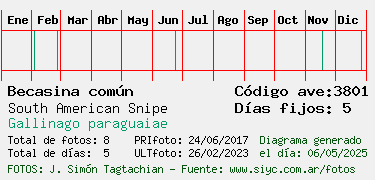 Estadisticas