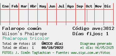 Estadisticas