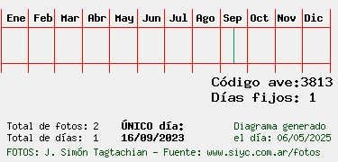 Estadisticas