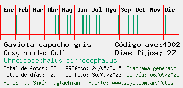 Estadisticas