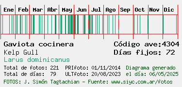 Estadisticas
