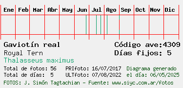 Estadisticas