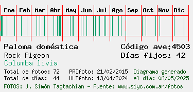 Estadisticas