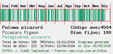 Estadisticas