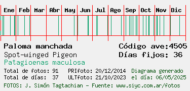 Estadisticas