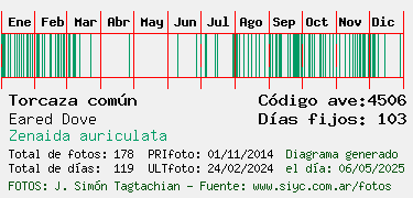 Estadisticas
