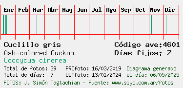 Estadisticas