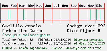Estadisticas