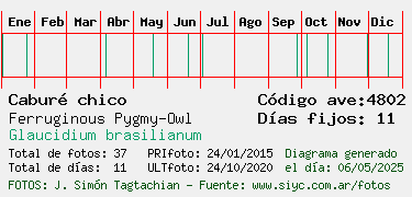 Estadisticas