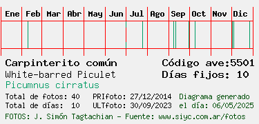 Estadisticas