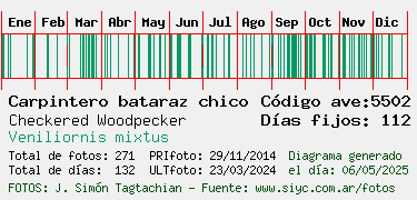 Estadisticas