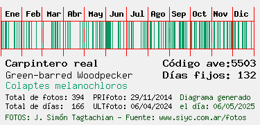 Estadisticas