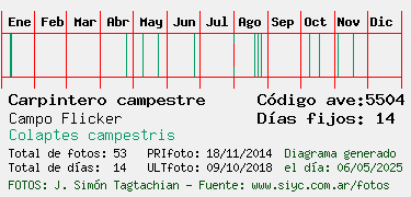 Estadisticas