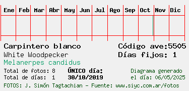 Estadisticas