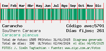 Estadisticas