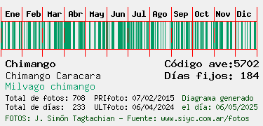 Estadisticas