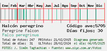 Estadisticas