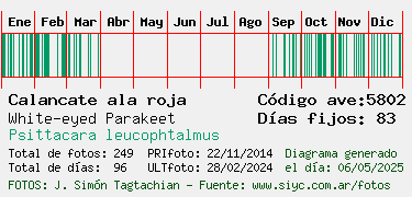 Estadisticas