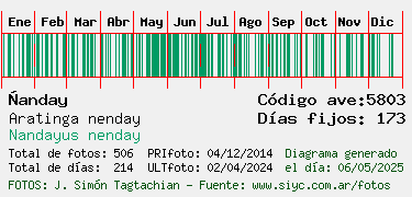 Estadisticas