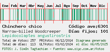 Estadisticas