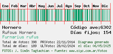 Estadisticas