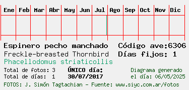 Estadisticas