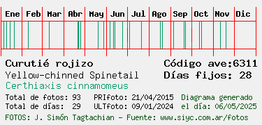 Estadisticas